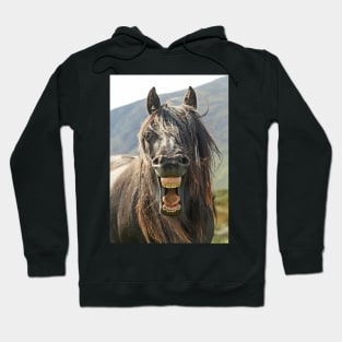 The "Laughing" Horse Hoodie